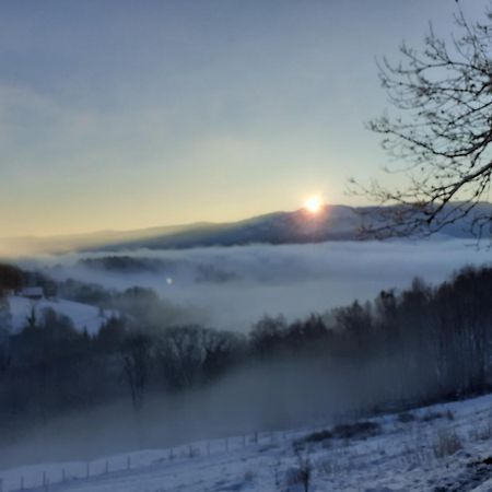 Gite Im-Berg Bed & Breakfast Metzeral Exterior photo