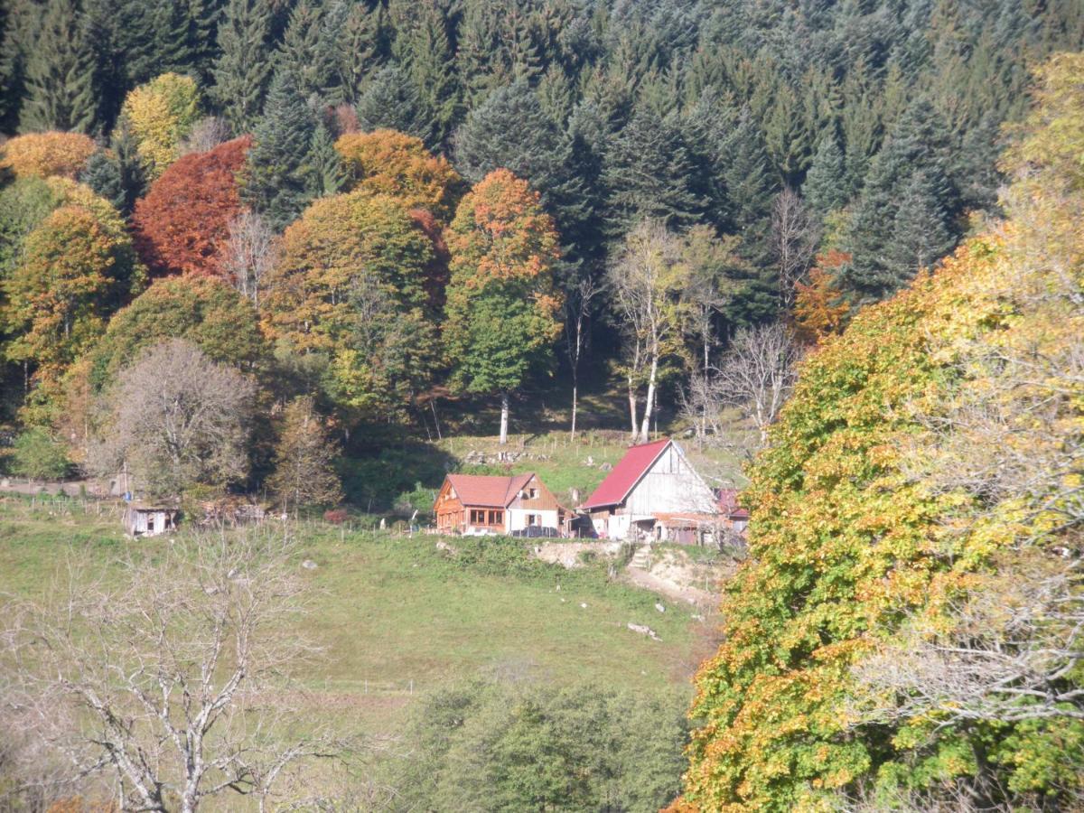 Gite Im-Berg Bed & Breakfast Metzeral Exterior photo